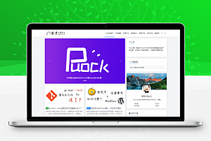 【WordPress主题】Puock-版本号:1.7 高颜值主题支持暗黑与白天模式的自适应多风格 WordPress主题