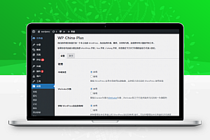 【WordPress插件】WP-China-Plus优化网站速度插件