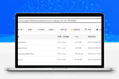 Ripro-v2主题php7.4扩展swoole_loader74.so缩略图