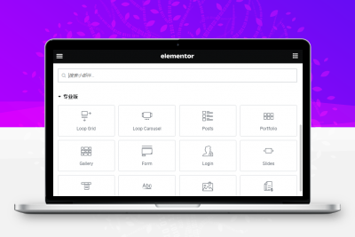 【WordPress插件】免费使用Elementor专业版功能缩略图